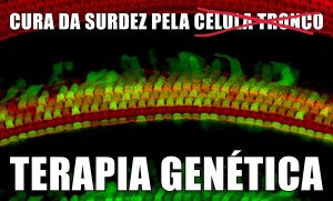 terapia genética